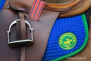 Oak Brook saddle and emblem